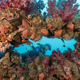 Yongala Dive exploring an underwater wreck.